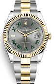 Rolex Datejust 126333 Oyster Rolesor