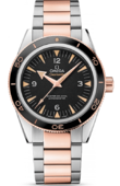 Omega Seamaster 233.20.41.21.01.001 300m Master Co-Axial 41 mm
