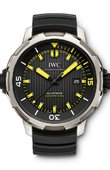 IWC Часы IWC Aquatimer IW358001 Automatic 2000