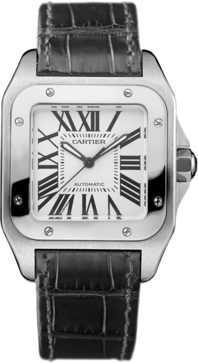 Мужские часы Steel (W20106X8) - купить 